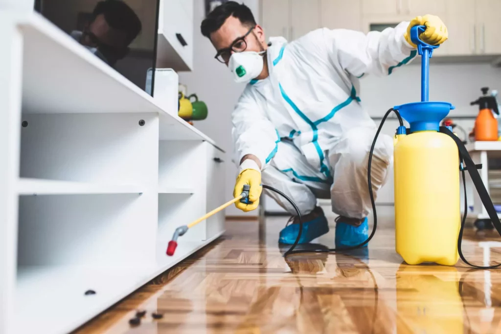 pest control company in Edmonton
